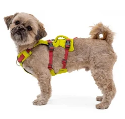 RUFFWEAR® Hundegechirr Fagine Harne 2.0 Lemon Sale
