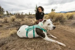 RUFFWEAR® Hundehalsbänder & Geschirre - Hundegechirr Fagine Harne 2.0 Türkis