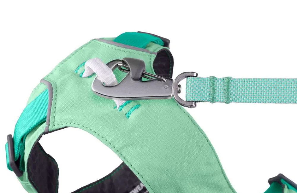 RUFFWEAR® Hundehalsbänder & Geschirre - Hundegechirr Fagine Harne 2.0 Türkis