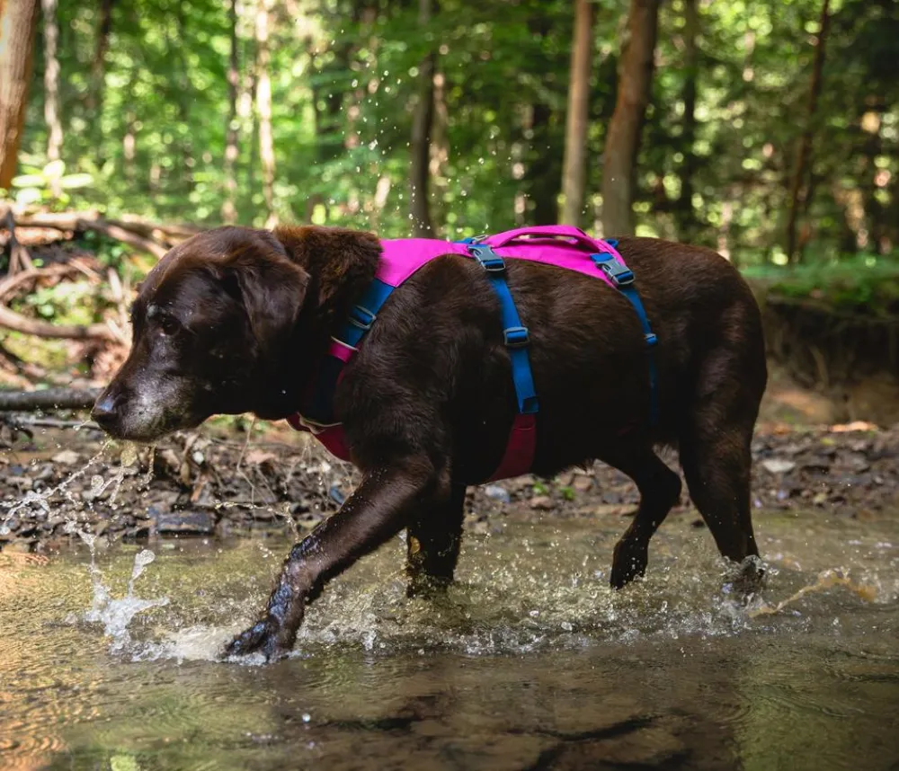 RUFFWEAR® Hundehalsbänder & Geschirre - Hundegechirr Fagine Harne 2.0 Pink