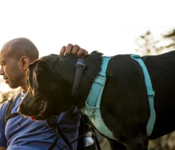 RUFFWEAR® Hundehalsbänder & Geschirre > Hundegechirr Front Range®