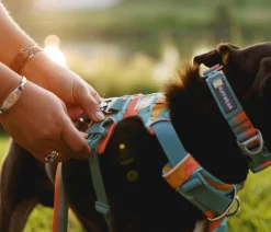 RUFFWEAR® Hundehalsbänder & Geschirre > Hundegechirr Front Range®