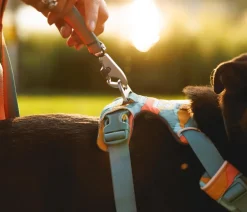 RUFFWEAR® Hundehalsbänder & Geschirre > Hundegechirr Front Range®