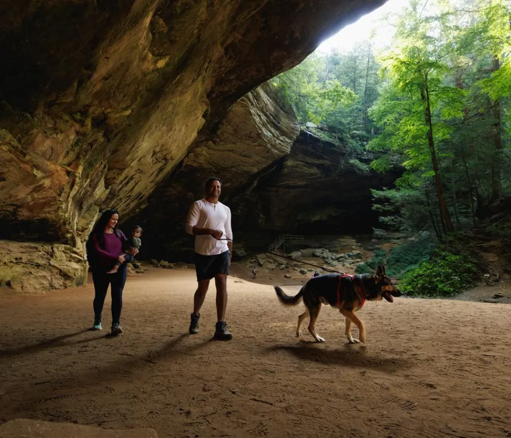 RUFFWEAR® Hundehalsbänder & Geschirre > Hundegechirr Front Range®