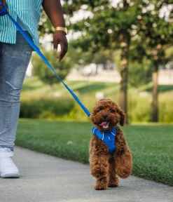 RUFFWEAR® Hundehalsbänder & Geschirre > Hundegechirr Front Range®