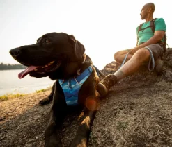 RUFFWEAR® Hundehalsbänder & Geschirre > Hundegechirr Front Range®