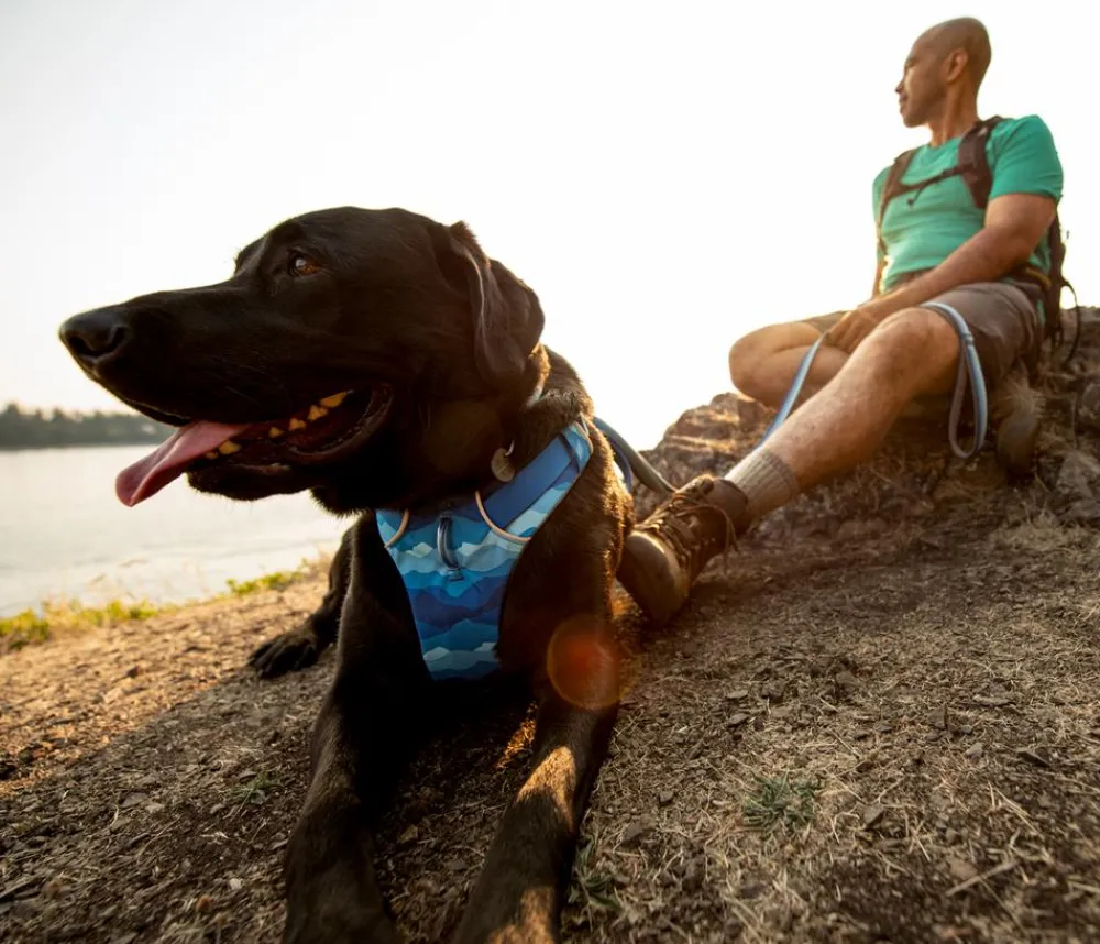 RUFFWEAR® Hundehalsbänder & Geschirre > Hundegechirr Front Range®