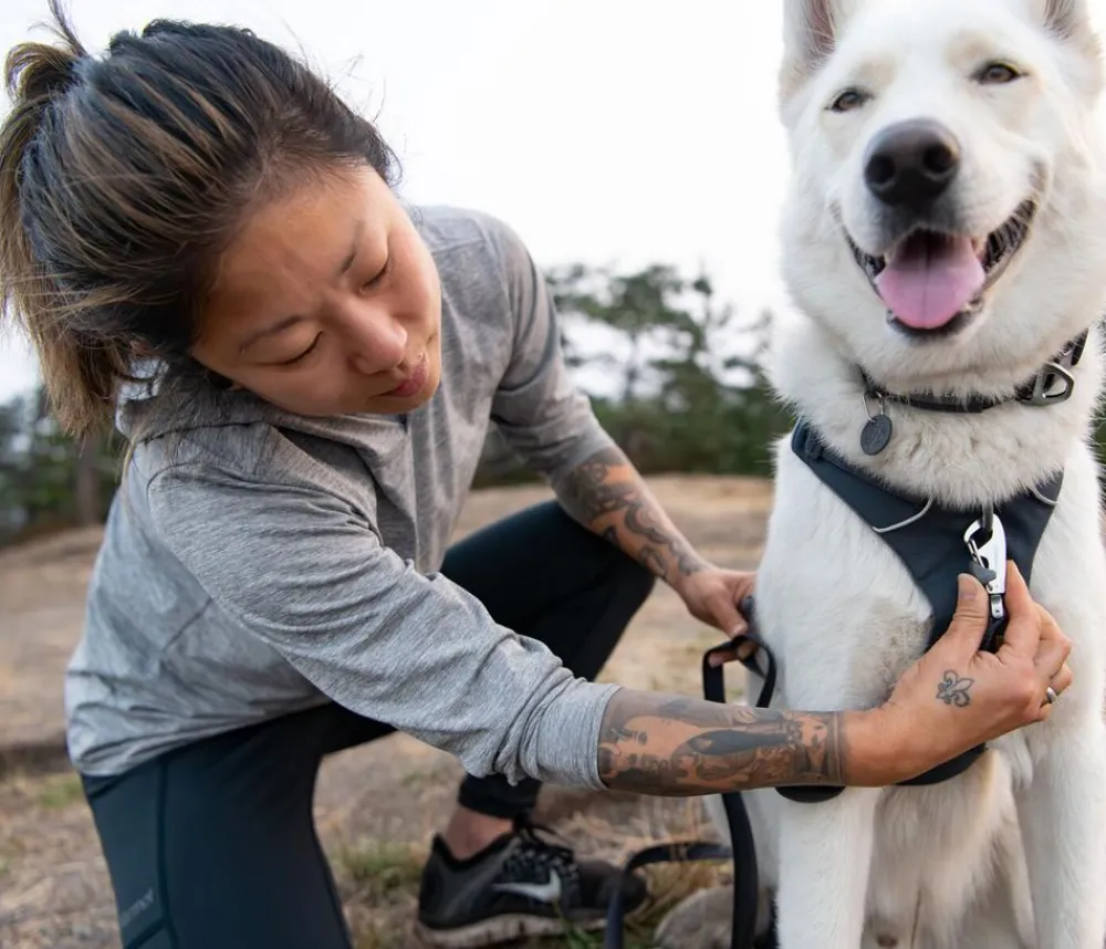 RUFFWEAR® Hundegechirr Front Range® Dunkelgrau Clearance