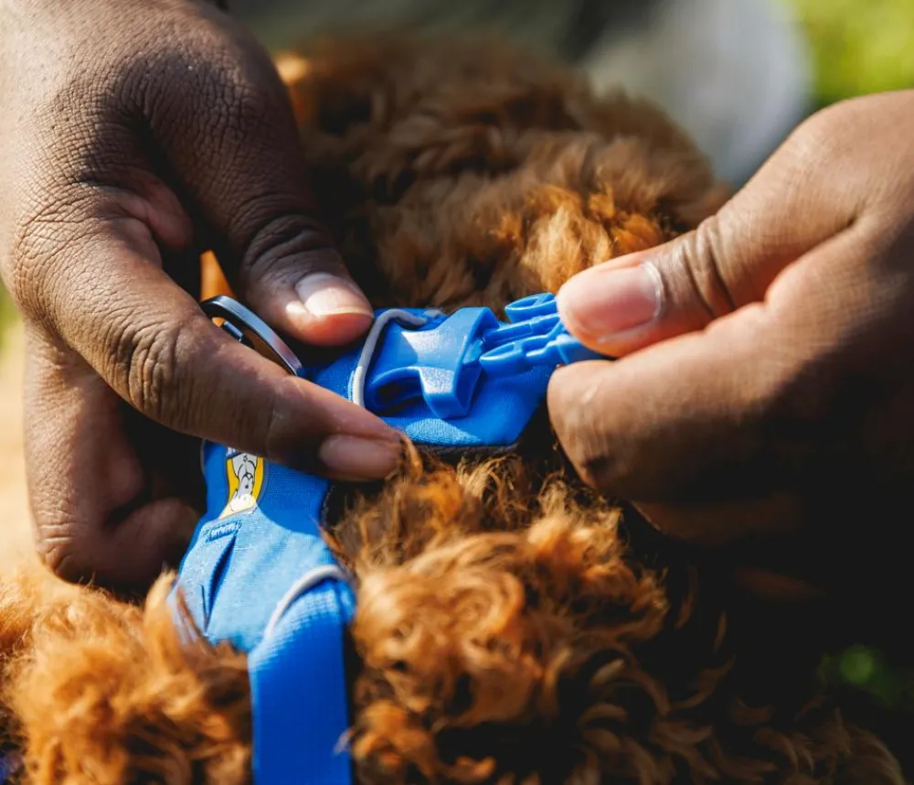 RUFFWEAR® Hundegechirr Front Range® Blau Outlet