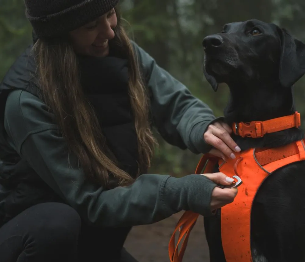 RUFFWEAR® Hundehalsbänder & Geschirre - Hundegechirr Front Range® Orange