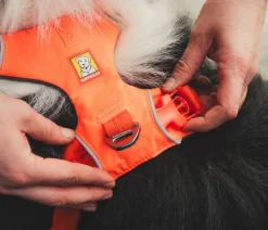 RUFFWEAR® Hundegechirr Front Range® Orange New