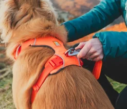 RUFFWEAR® Hundegechirr Front Range® Orange New