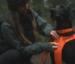 RUFFWEAR® Hundegechirr Front Range® Orange New