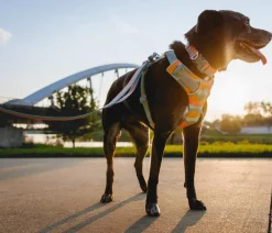 RUFFWEAR® Hundegechirr Front Range® Türkis Best
