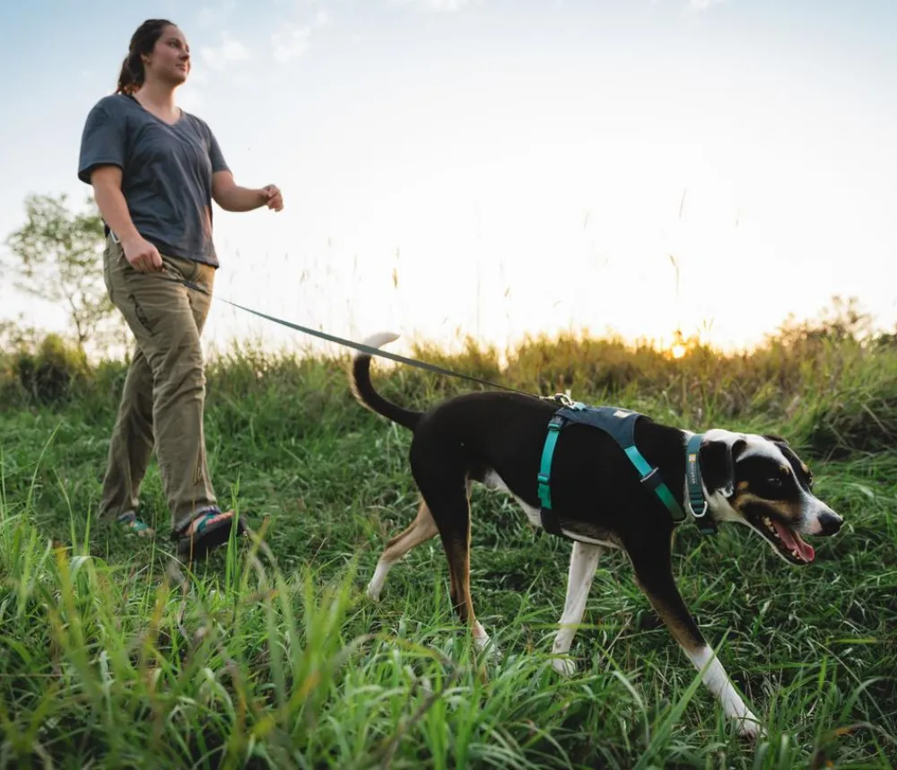 RUFFWEAR® Hundehalsbänder & Geschirre > Hundegechirr Hi & Light™ Harne 2.0