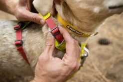 RUFFWEAR® Hundehalsbänder & Geschirre > Hundegechirr Hi & Light™ Harne 2.0