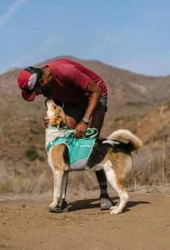 RUFFWEAR® Hundehalsbänder & Geschirre > Hundegechirr Hi & Light™ Harne 2.0