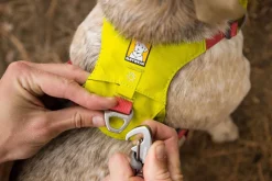 RUFFWEAR® Hundehalsbänder & Geschirre - Hundegechirr Hi & Light™ Harne 2.0 Lemon