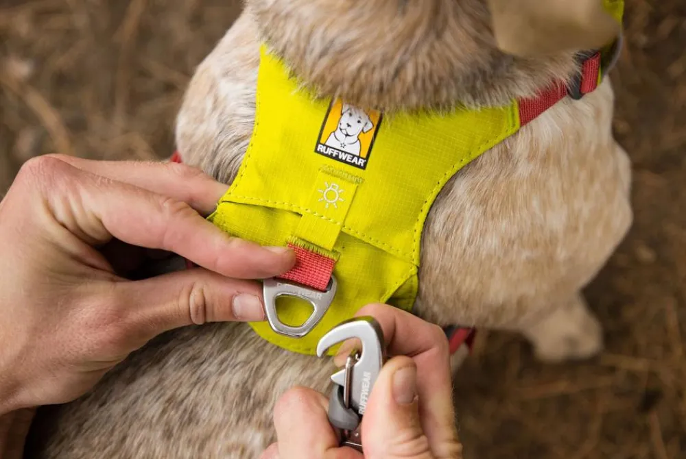 RUFFWEAR® Hundehalsbänder & Geschirre - Hundegechirr Hi & Light™ Harne 2.0 Lemon