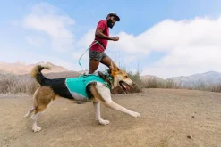RUFFWEAR® Hundehalsbänder & Geschirre - Hundegechirr Hi & Light™ Harne 2.0 Türkis