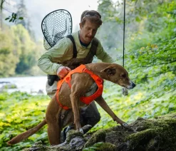 RUFFWEAR® Hundegechirr Web ater™ Orange Clearance