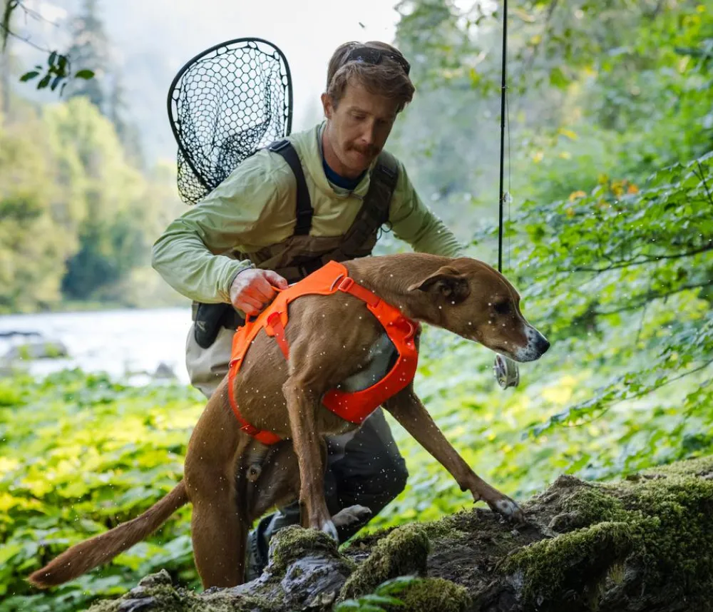 RUFFWEAR® Hundegechirr Web ater™ Orange Clearance