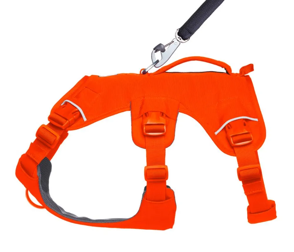 RUFFWEAR® Hundegechirr Web ater™ Orange Clearance