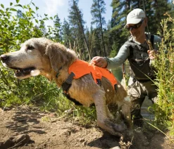 RUFFWEAR® Hundegechirr Web ater™ Orange Clearance