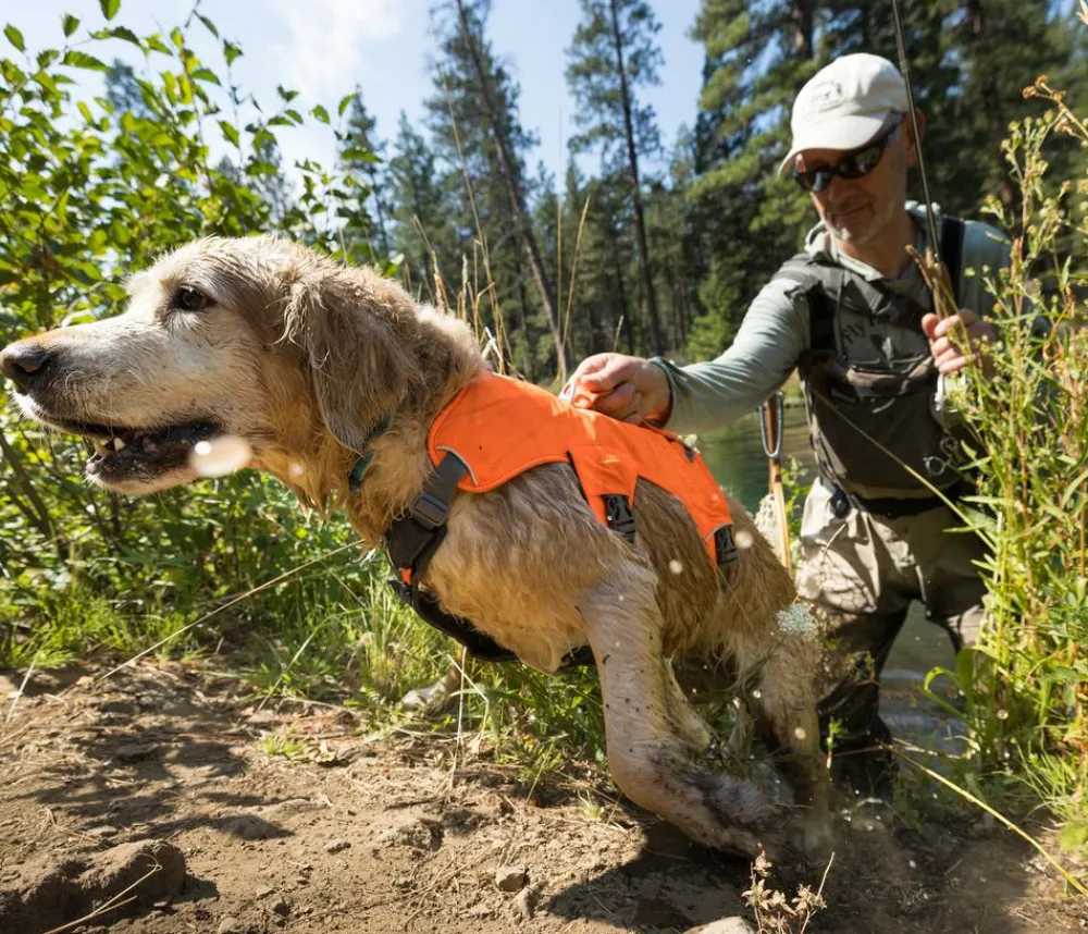RUFFWEAR® Hundegechirr Web ater™ Orange Clearance