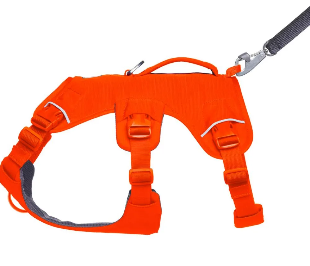 RUFFWEAR® Hundegechirr Web ater™ Orange Clearance