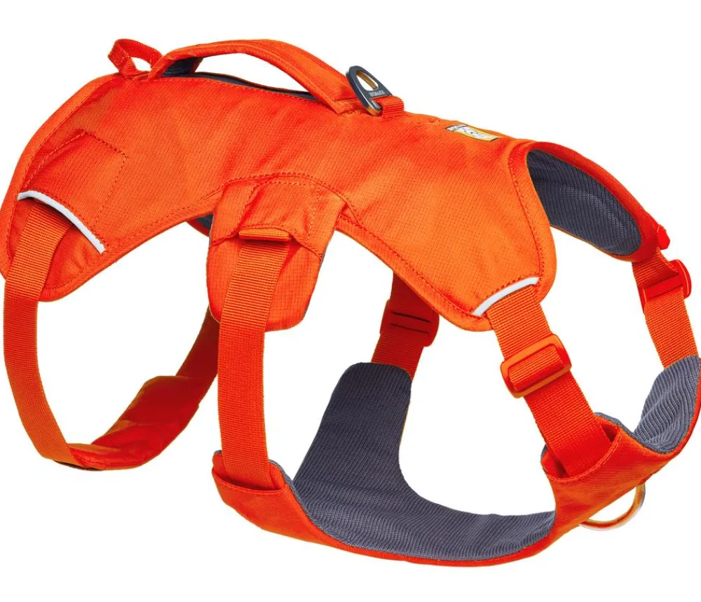 RUFFWEAR® Hundegechirr Web ater™ Orange Clearance