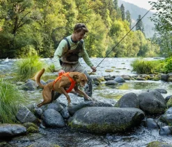 RUFFWEAR® Hundegechirr Web ater™ Orange Clearance