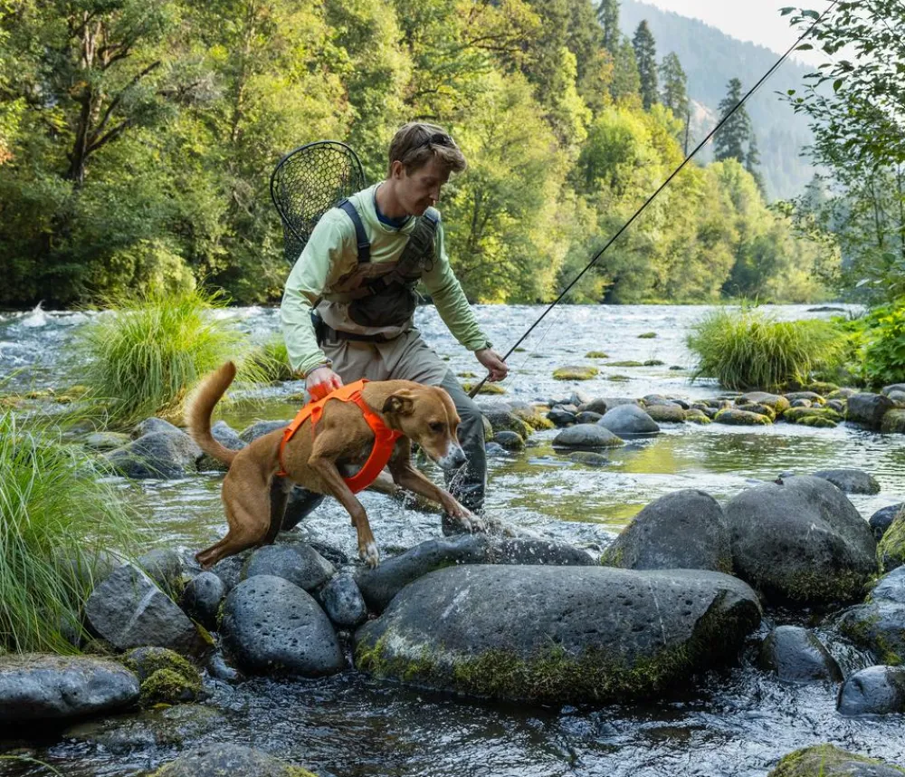 RUFFWEAR® Hundegechirr Web ater™ Orange Clearance