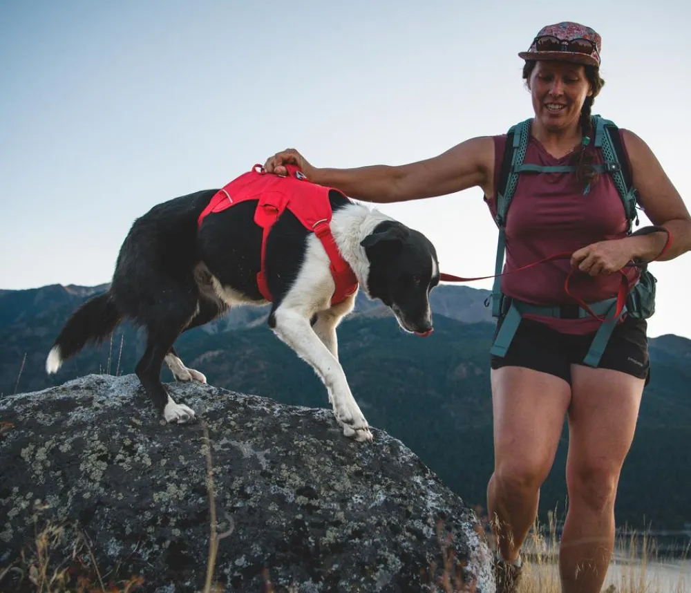 RUFFWEAR® Hundegechirr Web ater™ Rot Sale