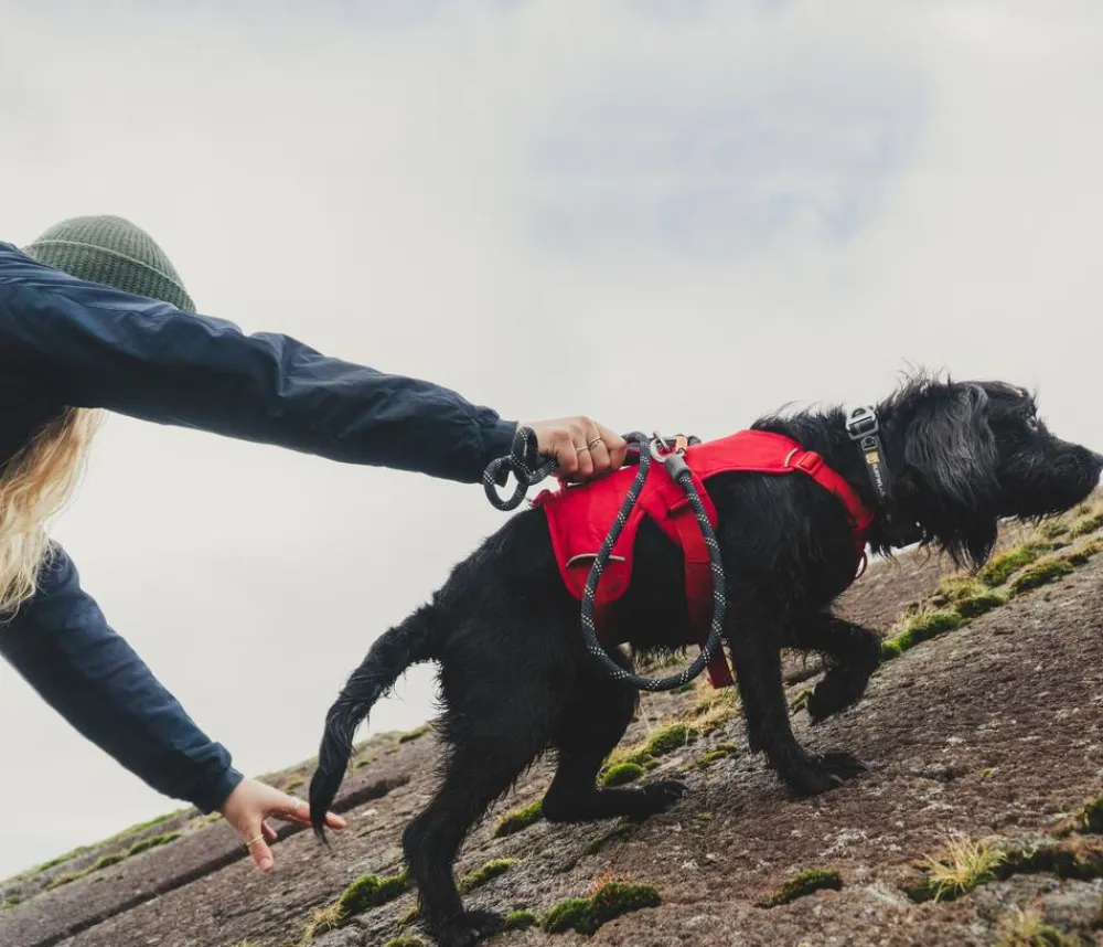 RUFFWEAR® Hundegechirr Web ater™ Rot Sale