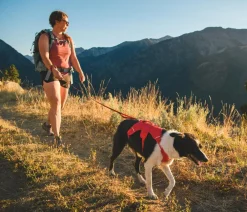 RUFFWEAR® Hundehalsbänder & Geschirre - Hundegechirr Web ater™ Rot