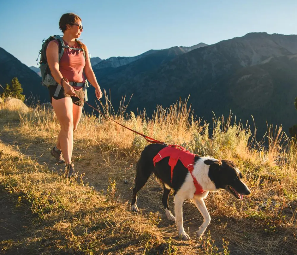 RUFFWEAR® Hundehalsbänder & Geschirre - Hundegechirr Web ater™ Rot