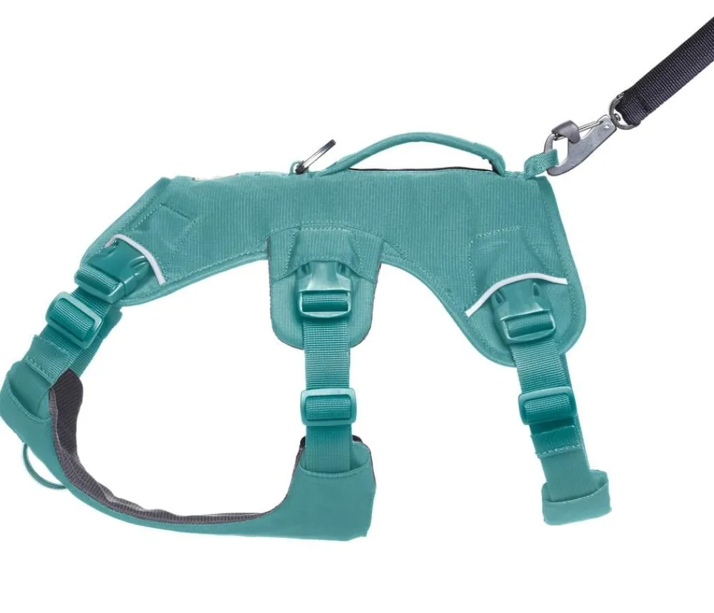 RUFFWEAR® Hundehalsbänder & Geschirre - Hundegechirr Web ater™ Grün
