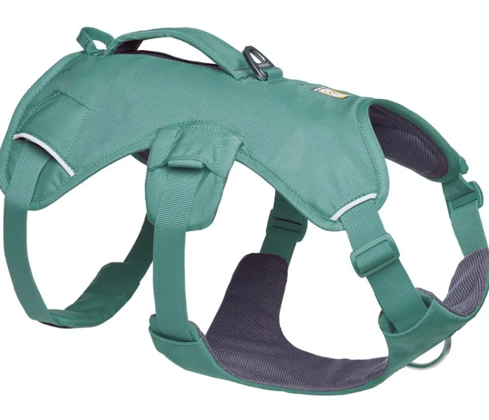 RUFFWEAR® Hundehalsbänder & Geschirre - Hundegechirr Web ater™ Grün