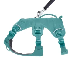RUFFWEAR® Hundehalsbänder & Geschirre - Hundegechirr Web ater™ Grün