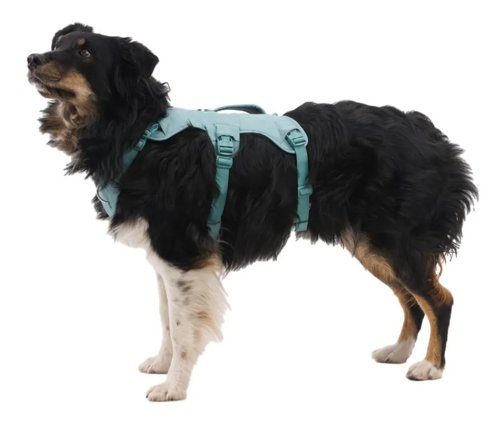 RUFFWEAR® Hundehalsbänder & Geschirre - Hundegechirr Web ater™ Grün