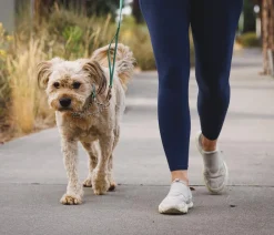 RUFFWEAR® Hundehaband Chain Reaction™ Hellgrün Best