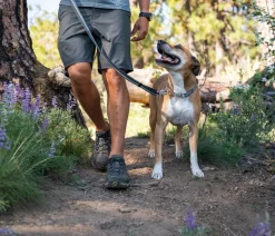 RUFFWEAR® Hundehalsbänder & Geschirre - Hundehaband Chain Reaction™ Grau