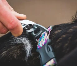 RUFFWEAR® Hundehaband Front Range™, geutert Pink Hot
