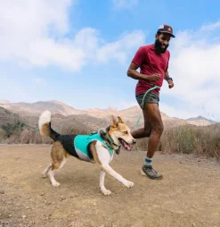 RUFFWEAR® Hundehalsbänder & Geschirre > Hundehaband Hi & ight™ Coar