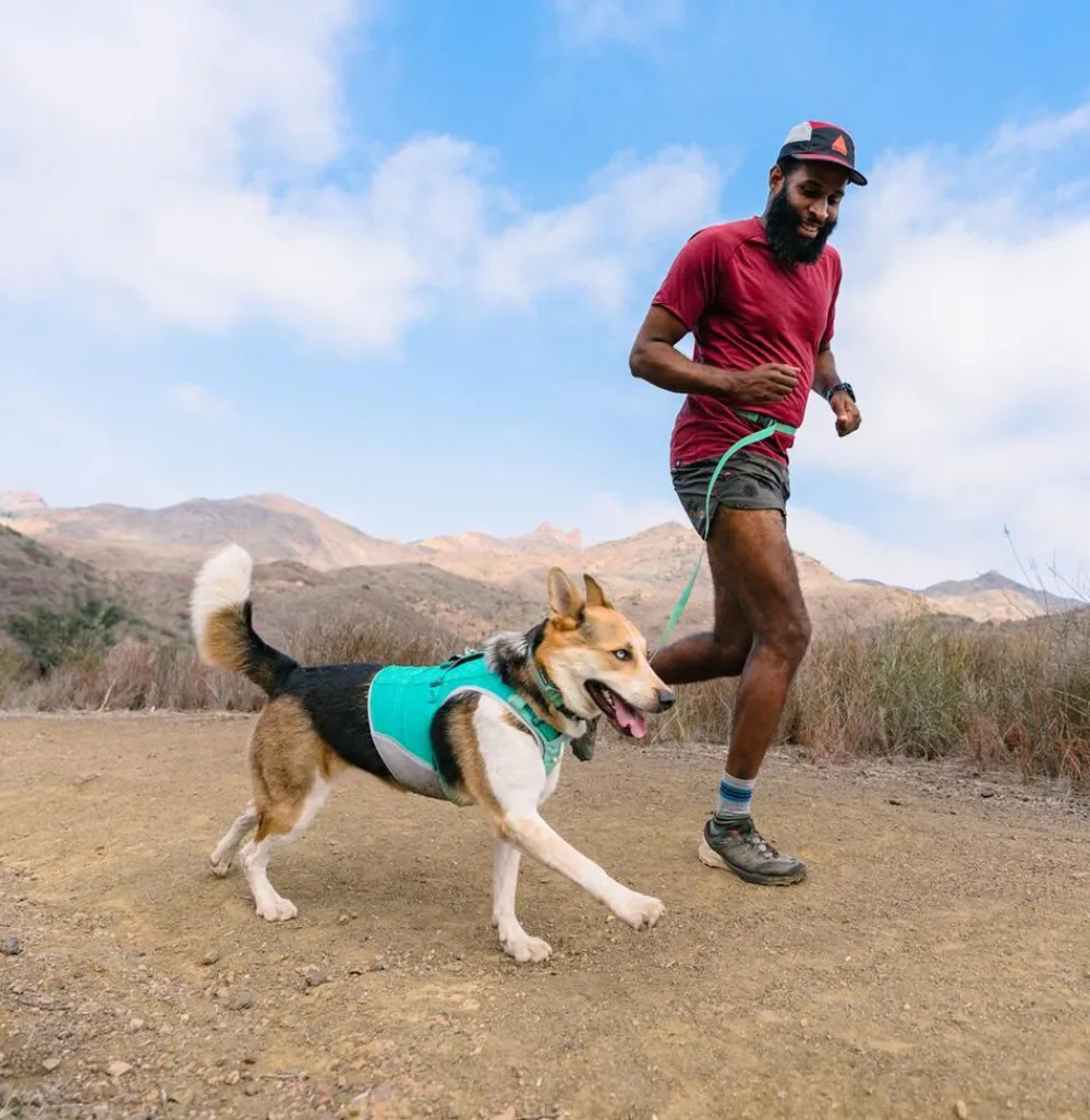 RUFFWEAR® Hundehalsbänder & Geschirre > Hundehaband Hi & ight™ Coar