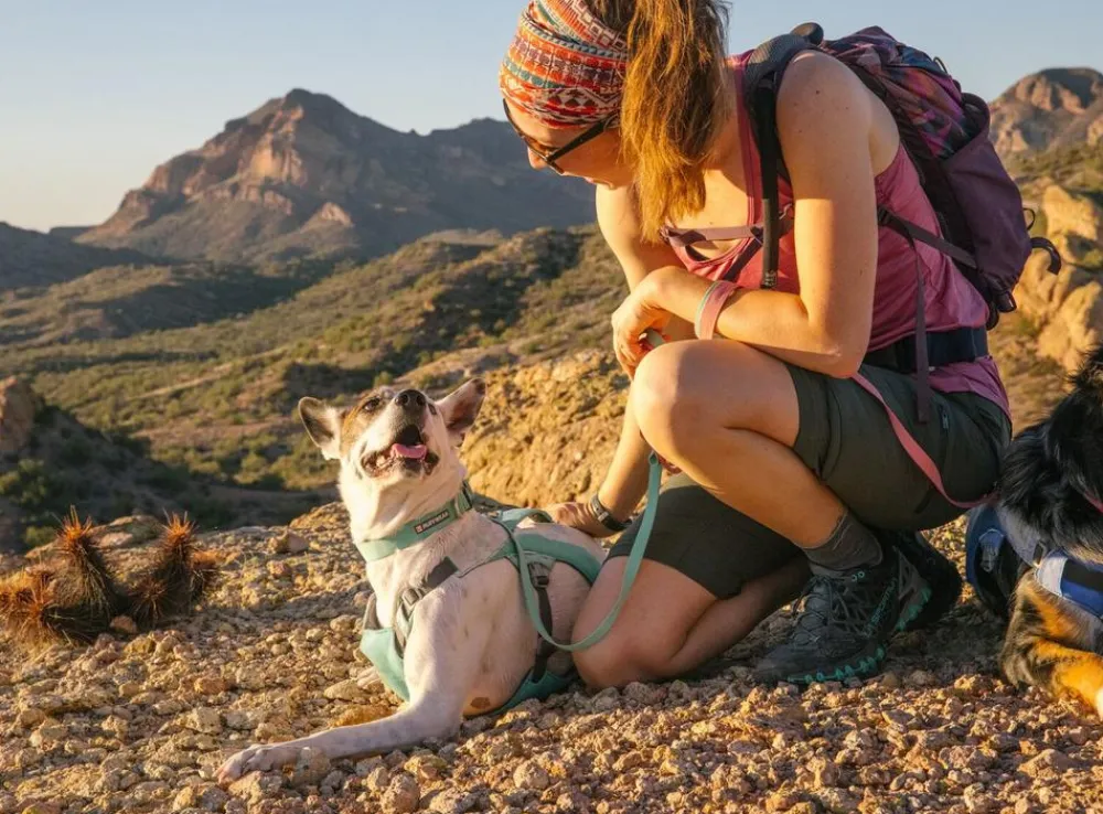 RUFFWEAR® Hundehalsbänder & Geschirre > Hundehaband Hi & ight™ Coar
