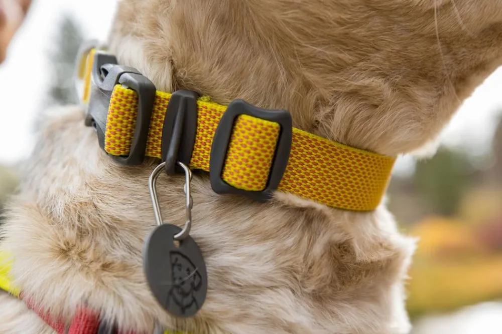 RUFFWEAR® Hundehalsbänder & Geschirre > Hundehaband Hi & ight™ Coar