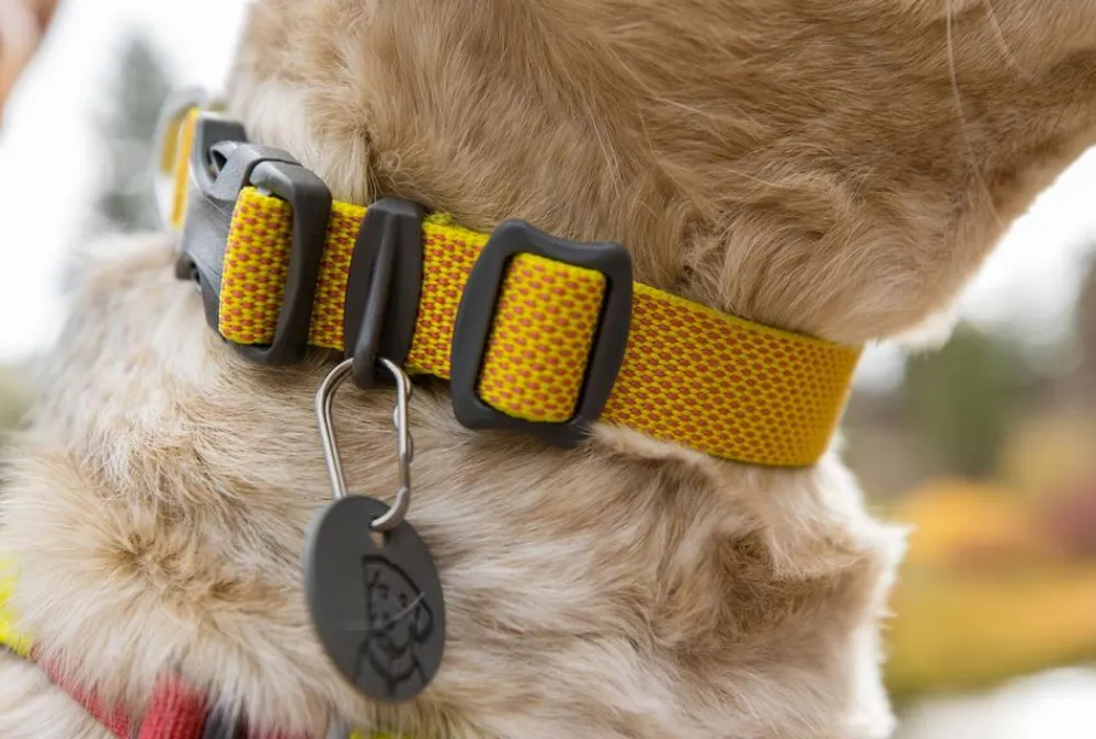 RUFFWEAR® Hundehaband Hi & ight™ Coar Lemon Outlet