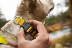 RUFFWEAR® Hundehalsbänder & Geschirre - Hundehaband Hi & ight™ Coar Lemon